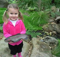 Wild Food Farm  Cafe - Accommodation Melbourne