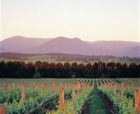 Domaine Chandon - Accommodation Melbourne 0