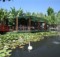 Blue Lotus Water Garden - Accommodation Melbourne
