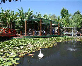 Blue Lotus Water Garden - Accommodation Melbourne 0