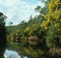 Warrandyte State Park - Accommodation Melbourne