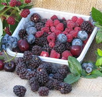 Bright Berry Farms - Accommodation Melbourne
