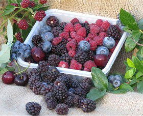 Bright Berry Farms - Accommodation Melbourne 0