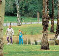 Westerfolds Park - Accommodation Melbourne