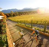 Boyntons Feathertop Winery - Accommodation Melbourne