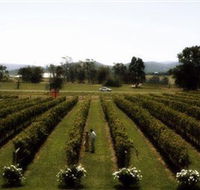 Rochford Wines - Accommodation Melbourne