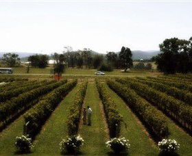 Rochford Wines - Accommodation Melbourne 0