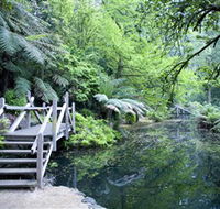 Alfred Nicholas Gardens - Accommodation Melbourne
