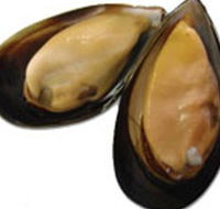 Sea Bounty - Accommodation Melbourne