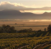 Montara Wines - Accommodation Melbourne
