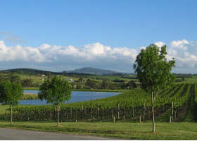 Yarrawood Estate - Accommodation Melbourne 0
