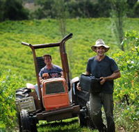 Kellybrook Winery  Kelly Brothers Cider - Accommodation Melbourne