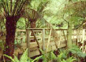 Mount Worth State Park - Accommodation Melbourne 0