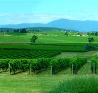 Acacia Ridge Vineyard - Accommodation Melbourne