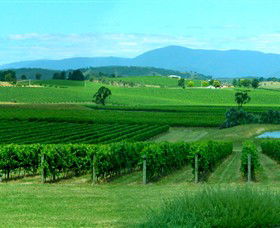 Acacia Ridge Vineyard - Accommodation Melbourne 0
