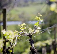 Michelini Wines - Accommodation Melbourne