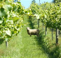 Passing Clouds - Accommodation Melbourne