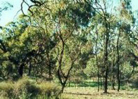 Leaghur State Park - Accommodation Melbourne 0