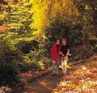 George Tindale Memorial Gardens - Accommodation Melbourne