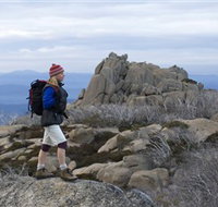Mount Buffalo National Park - Accommodation Melbourne