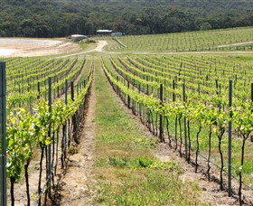 M Chapoutier Australia - Accommodation Melbourne 0