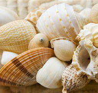 Anglesea Beach Club - Accommodation Melbourne