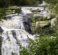 Agnes Falls Scenic Reserve - Accommodation Melbourne