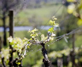 Kyneton Ridge Estate - Accommodation Melbourne 0