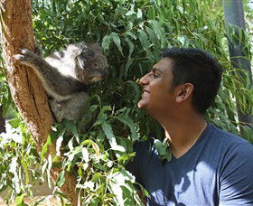 Healesville Sanctuary - Accommodation Melbourne 0
