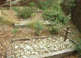 Collins Settlement Historic Site - Accommodation Melbourne 0