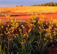 Royal Botanic Gardens Victoria Cranbourne - Accommodation Melbourne