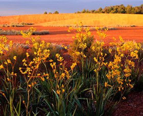 Royal Botanic Gardens Victoria Cranbourne - Accommodation Melbourne 0