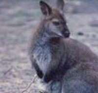 Churchill National Park - Accommodation Melbourne