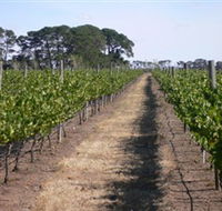 Mount Beckworth Wines - Accommodation Melbourne