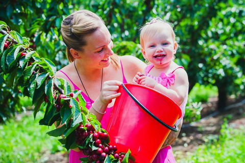 Cherryhill Orchards - Accommodation Melbourne 0