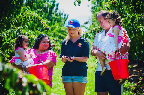 Cherryhill Orchards - Accommodation Melbourne 1