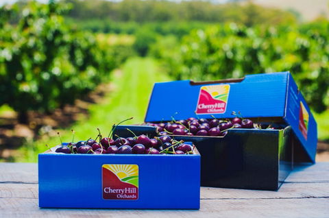 Cherryhill Orchards - Accommodation Melbourne 3