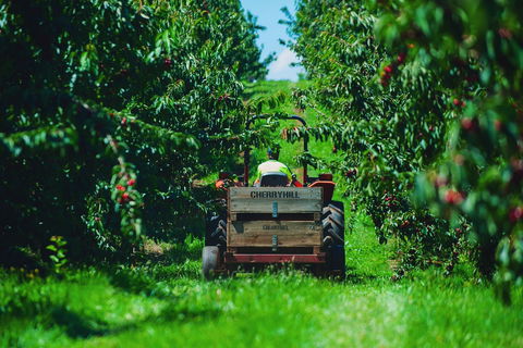 Cherryhill Orchards - Accommodation Melbourne 7