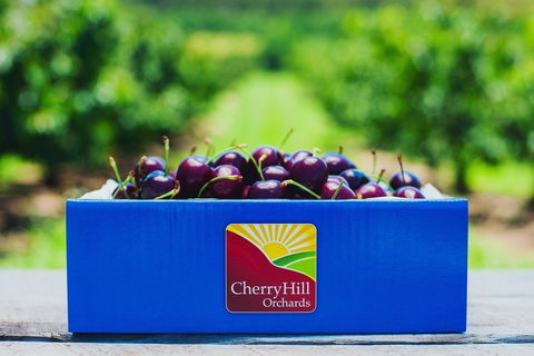 Cherryhill Orchards - Accommodation Melbourne 8