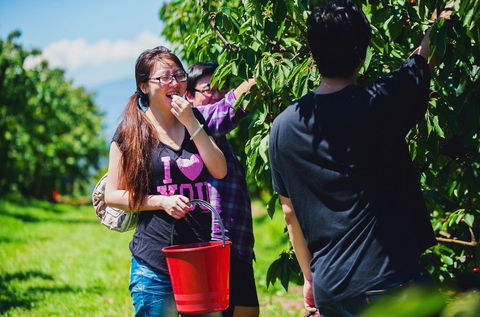 Cherryhill Orchards - Accommodation Melbourne 9