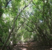 Eucalypt Trail - Accommodation Melbourne