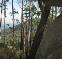 Gulaga National Park - Accommodation Melbourne