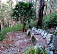 Wodi Wodi Walking Track - Accommodation Melbourne