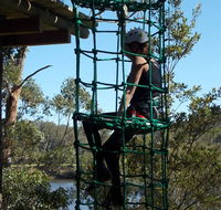 Trees Adventure Shoalhaven - Accommodation Melbourne