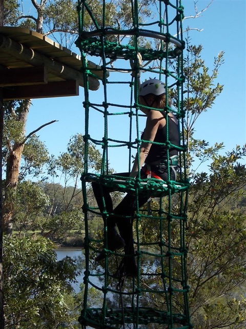 Trees Adventure Shoalhaven - Accommodation Melbourne 0