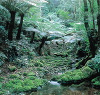 Deua National Park - Accommodation Melbourne