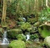 Budderoo National Park - Accommodation Melbourne