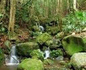 Budderoo National Park - Accommodation Melbourne 0
