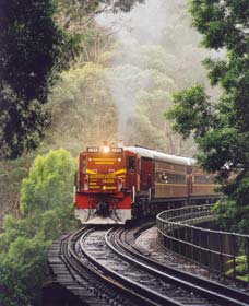 Cockatoo Run - Scenic Tour Train Operated By 3801 Limited - Accommodation Melbourne 0