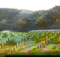 Tilba Valley Wines - Accommodation Melbourne